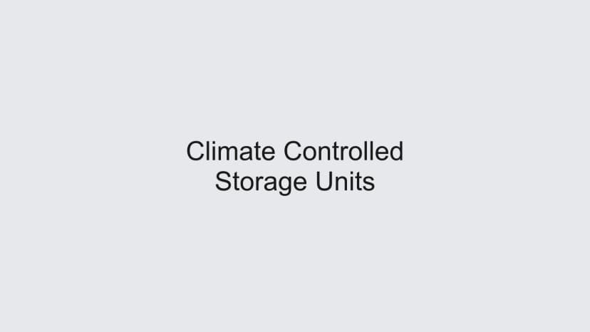 Self Storage